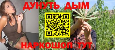 дурь Гатчина