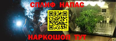 spice Гагарин