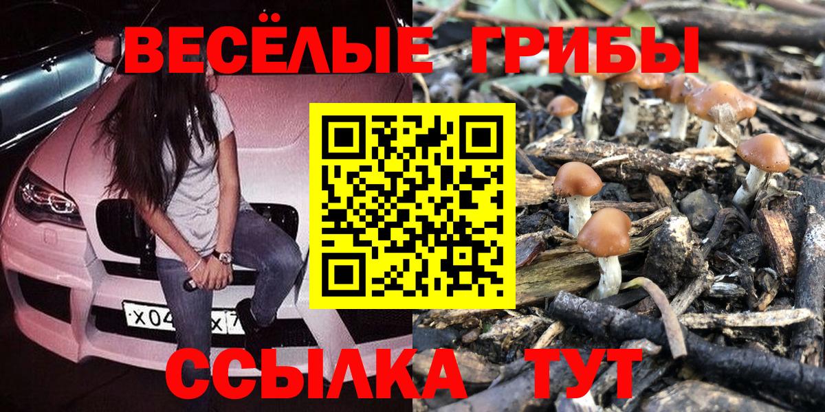 Галлюциногенные грибы прущие грибы Донской
