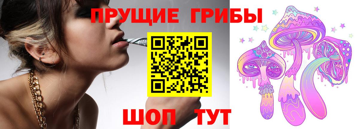 закладки  Вход с VPN  Донской  Псилоцибиновые грибы MAGIC MUSHROOMS 